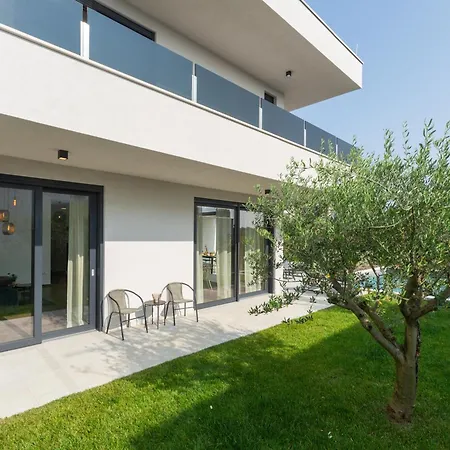 Ava Rosa By Seeadria Agency